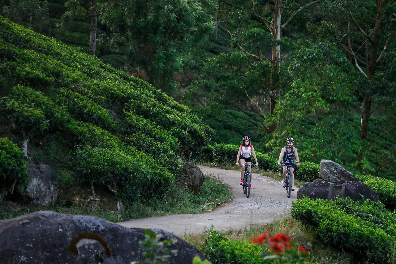 Fragrant Nature Munnar Hotel