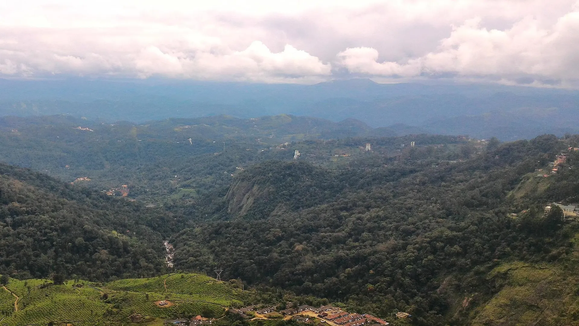 Fragrant Nature Munnar Hotel