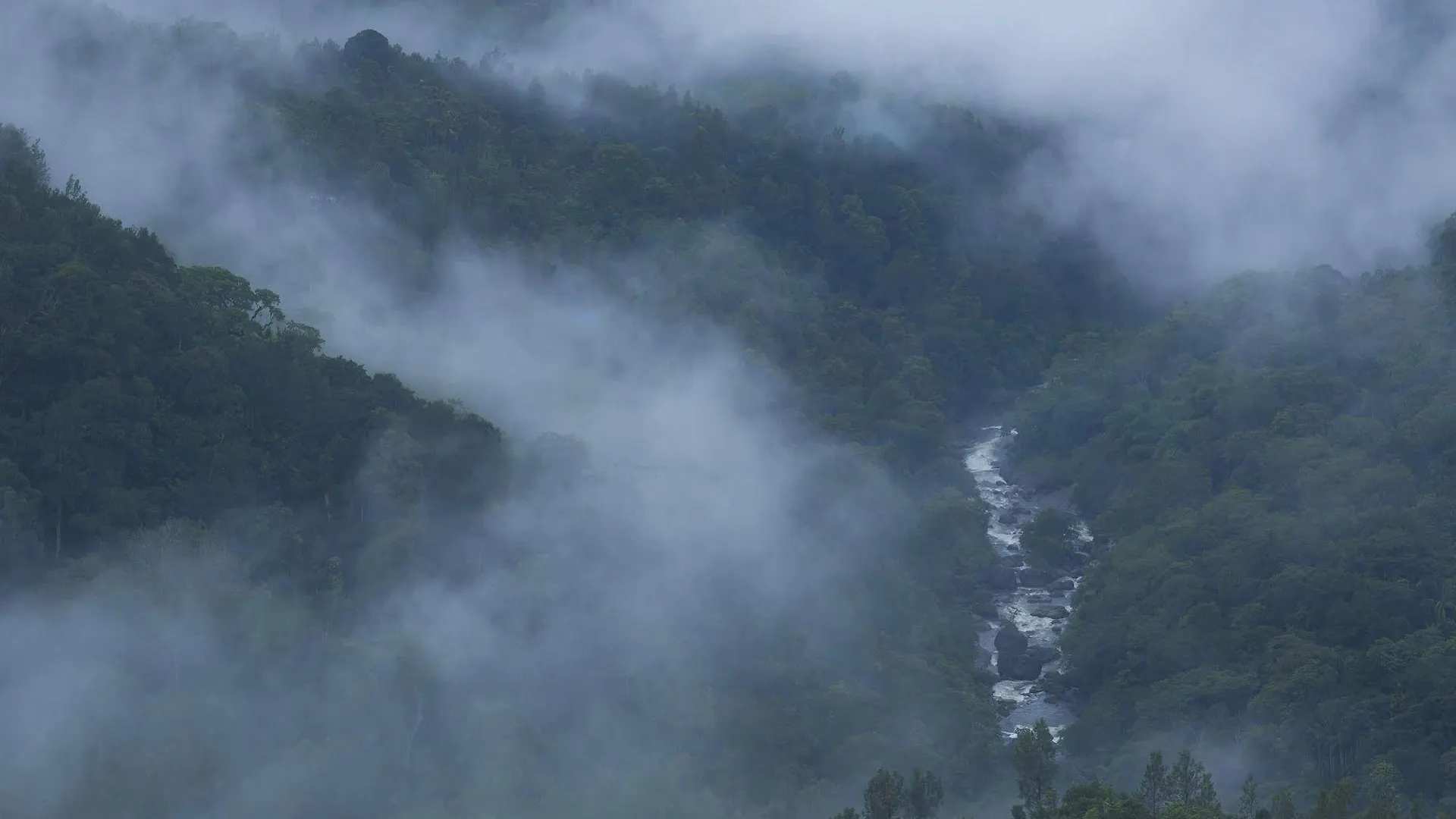 Fragrant Nature Munnar Hotel