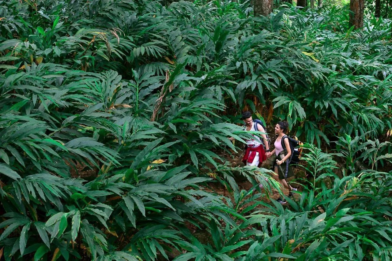 Fragrant Nature Munnar Hotel